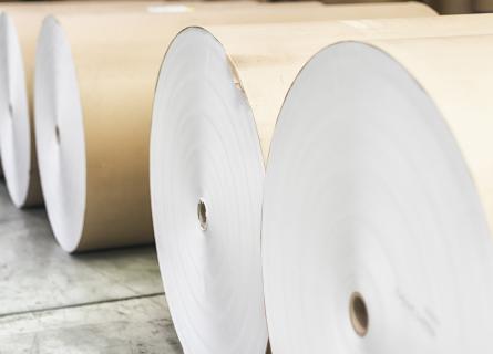 Spools of paper rolls lined up for printing press 